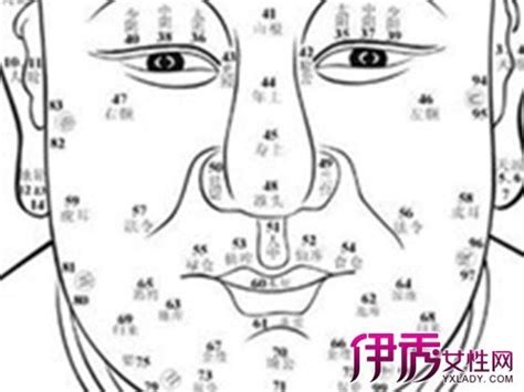 鼻子有痣女|面相：鼻子有痣，是代表破财？还是旺财？